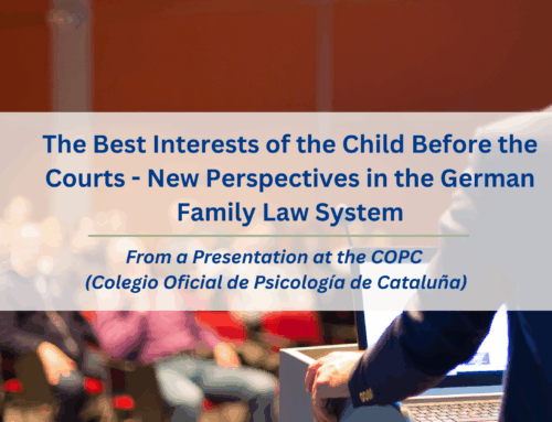 The Best Interests of the Child Before the Courts