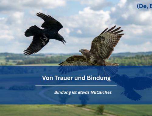Bindung ist etwas Natürliches